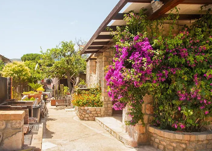 Eucharis Daire Marina di Campo