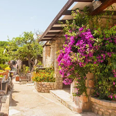 Eucharis Apartment Marina di Campo
