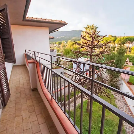 Eucharis مارينا دي كامبو